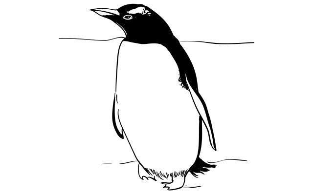 Sketchbook Challenge 46 – How to Draw a Penguin | SketchBookNation.com