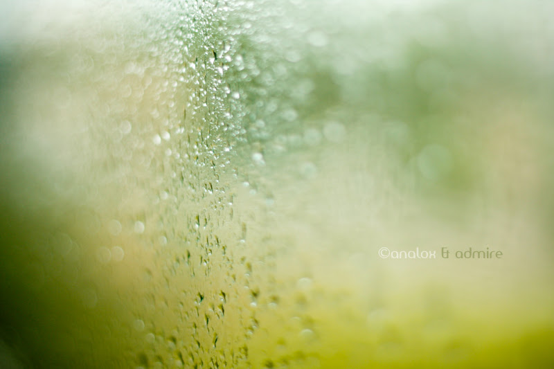 Remember when it rained...