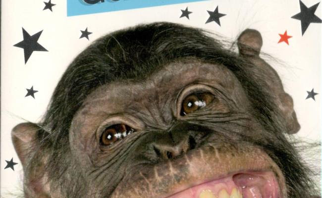 De beste verjaardag plaatjes, animaties en gifs voor whatsapp, facebook en andere websites. Gefeliciteerd Verjaardag Met Humor Otosection