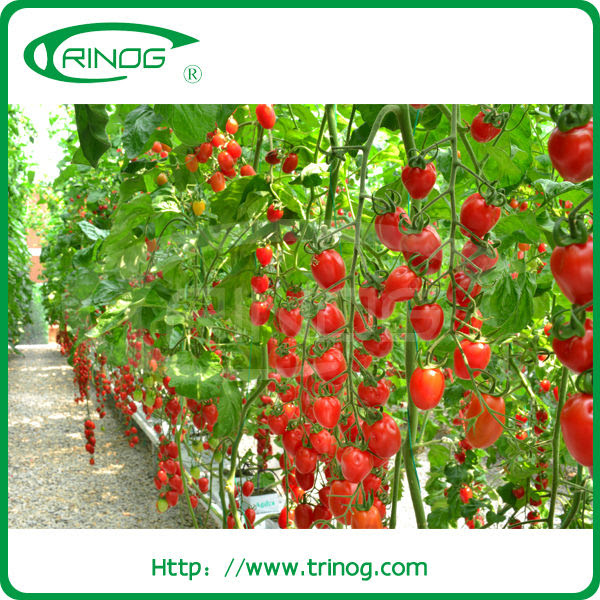 Commercial Hydroponic Growing Systems For Sale - Buy Hydroponic ...