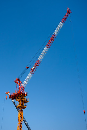 crane