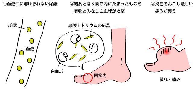 医療法人社団 太隆会 たむら整形外科 Tamura Orthopaedic Clinic Official Web Site 西淀川区柏里 塚本駅近く 整形外科 リハビリテーション科 ペインクリニック外科 リウマチ科