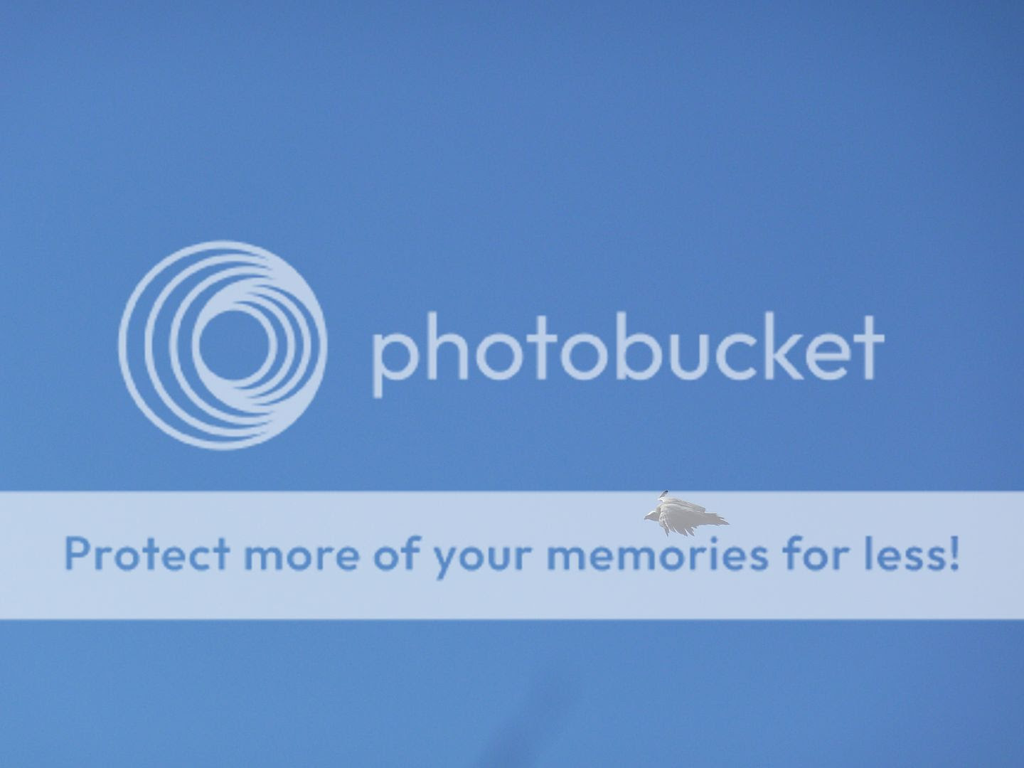 Photo Sharing and Video Hosting at Photobucket