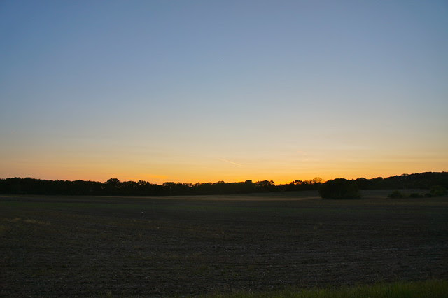 DSC06990