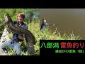 √99以上 雷魚 釣り 199885-雷魚 釣り シーズン