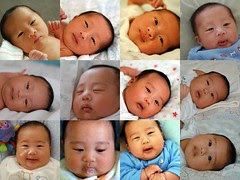 Twelve Weeks of Owen