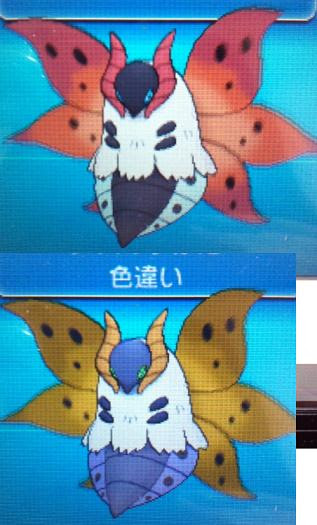 色違いに釘付け ウルガモス