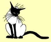 Gatitos siameses en diferentes posiciones.