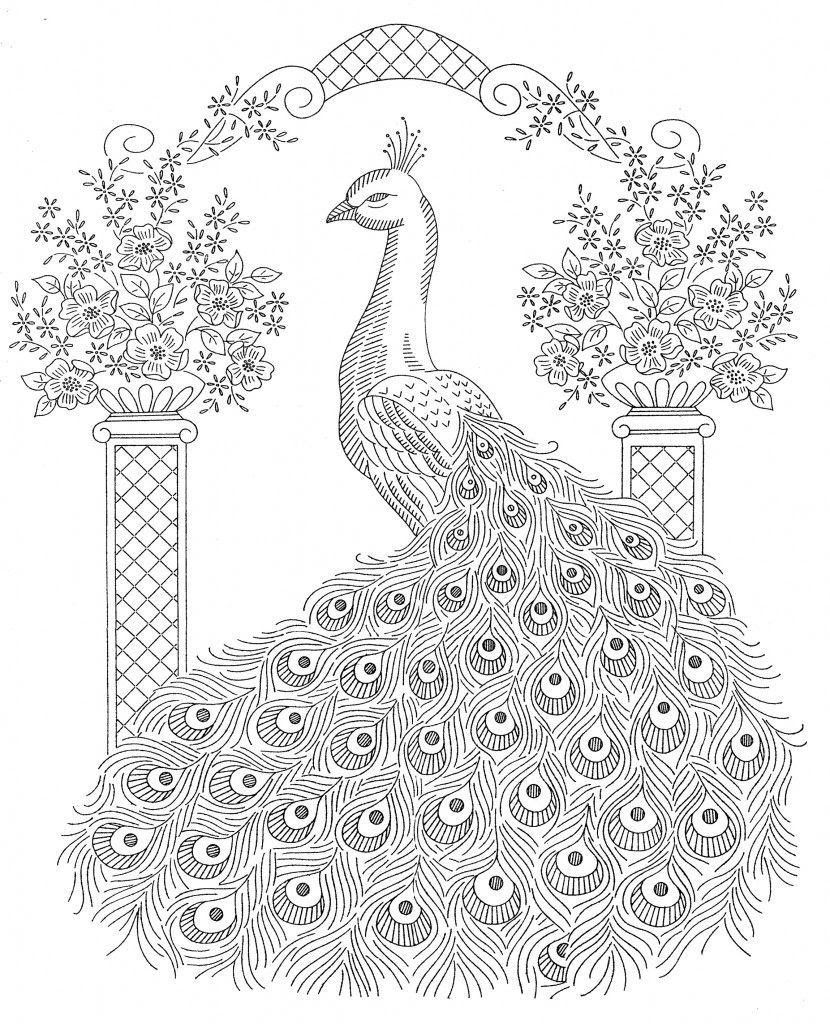 Download Realistic Peacock Coloring Pages at GetColorings.com ...