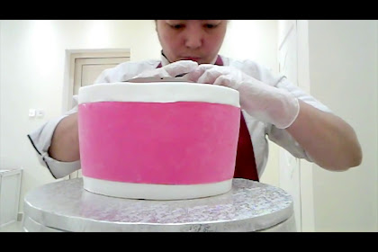 18+ Turkey Cake Baskin-Robbins