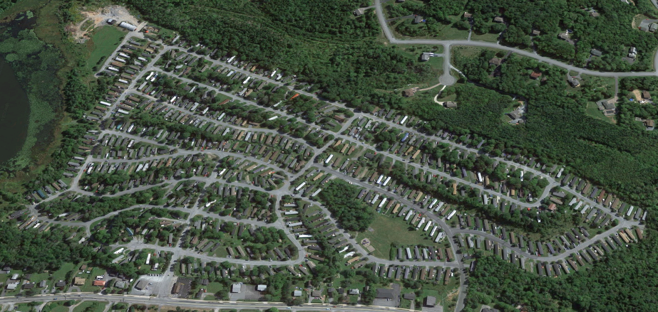 Human Info Page: Trailer Park Boys Fun Facts