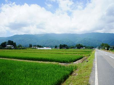 長井の山の風景 ながいファン倶楽部ライブラリー まちに恋して 山形県長井市