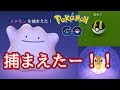 √画像をダウンロード ポ��モン メタモン 色 違い 399745-ポケモン 色 違い メタモン