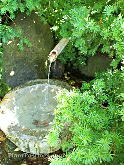 fountain
