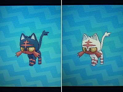 色ニャビー M 色ポケめも