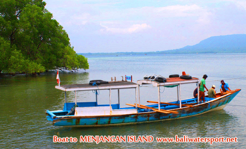  kawasan konservasi, underwatater pulau menjangan sangatlah indah
