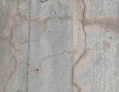 bridge column  map cracking shady  moist  edges