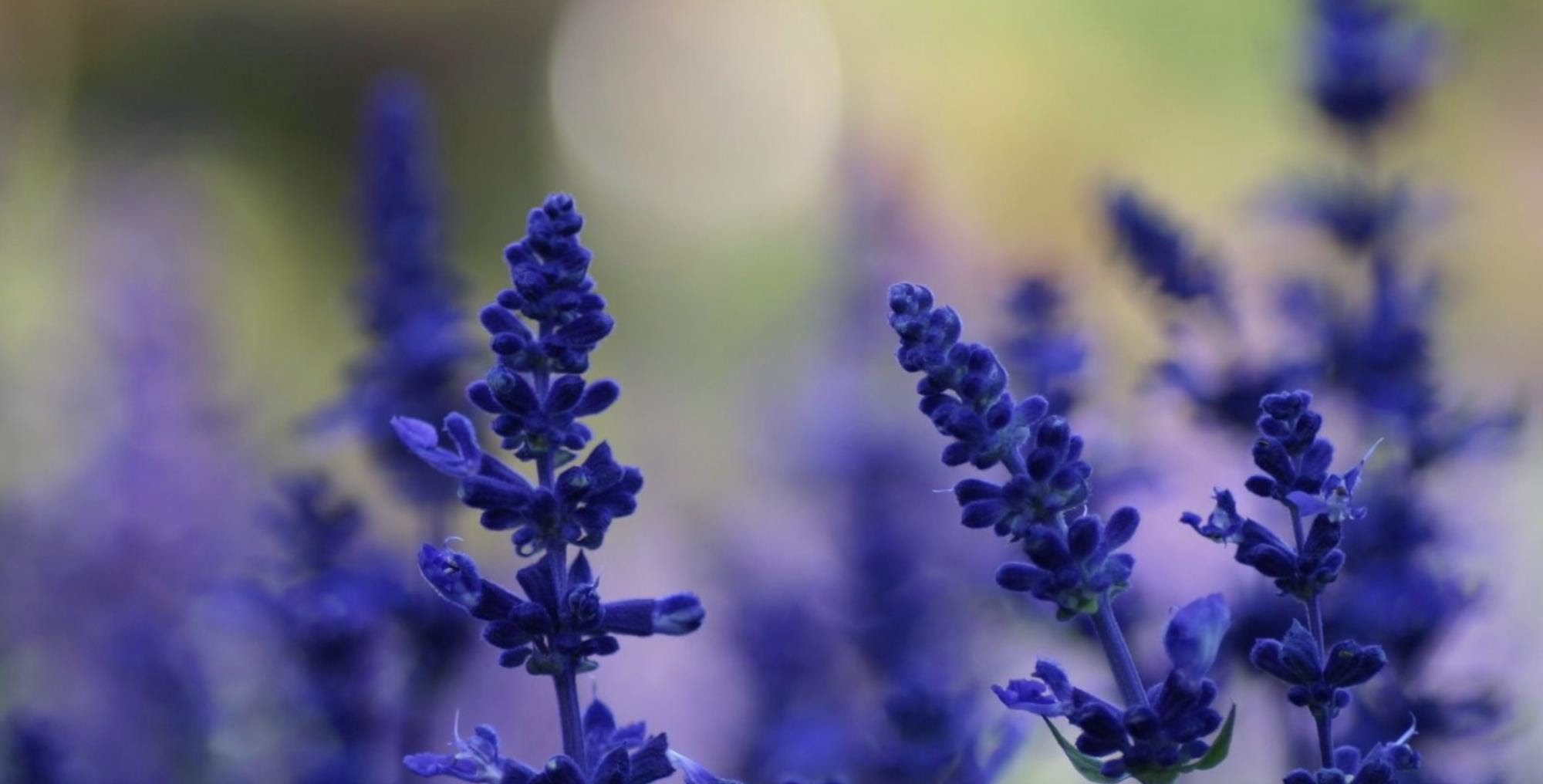 有胆魄 更有远见的星座 具备高层次思维 人生越走越开阔 游戏资讯 电影风云娱乐网