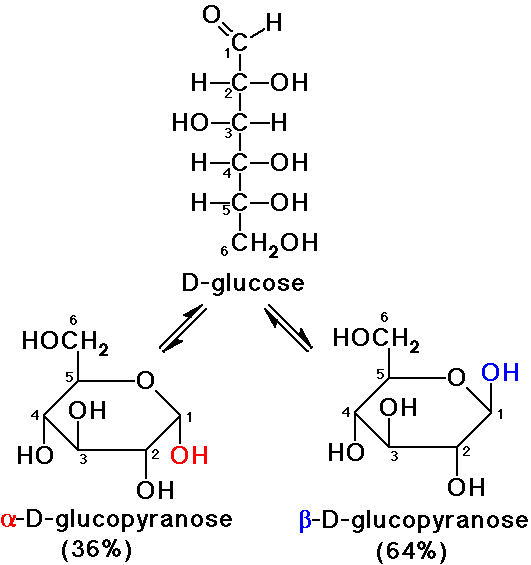 d-glucose structure cyclic notes Chapter 25