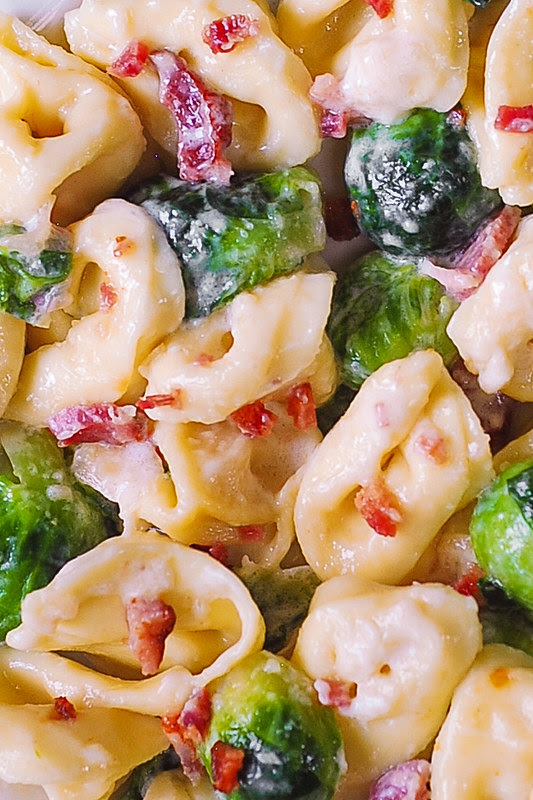 creamy pasta with bacon, Thanksgiving recipes, holiday main dish