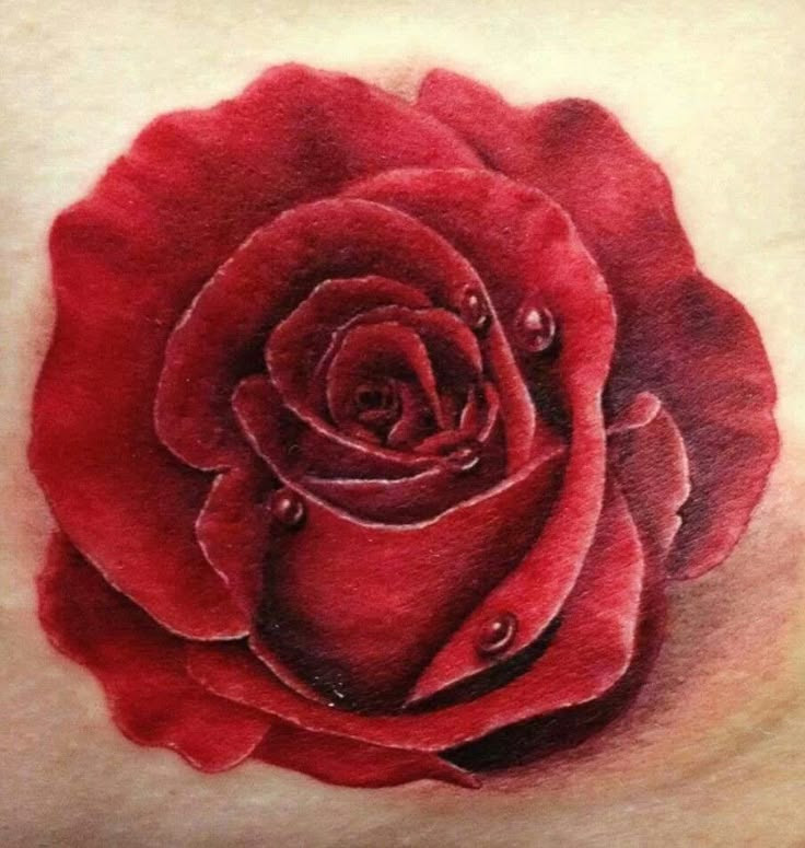 22+ BEAUTIFUL REALISTIC ROSE TATTOO | GOT ME iNKED UP | Pinterest