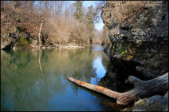 Hiding Out on Rock Creek