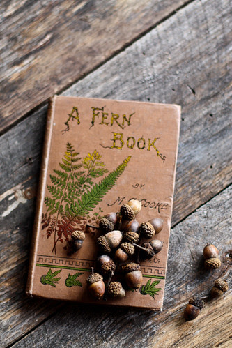 a fern book