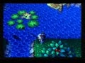 What Is The Rarest Fish In Animal Crossing - Animal Crossing Fish list: New April fish, how to catch ... / New horizons , including the stringfish.