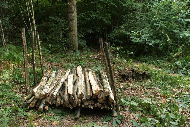 DSC_7002 logs stacked to season