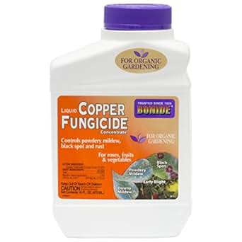 Amazon.com: Bonide Liquid Copper Fungicide Concentrate 6666011 ...