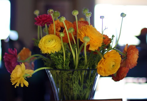Ranunculus