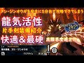 ジンオウガ 片手 剣 113061-��ンオウガ 片手剣xx