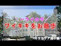 √ 綺麗 ハワイ 画像 可愛い 522409