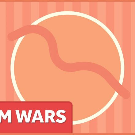 Replication, Re-Analysis, and Worm Wars