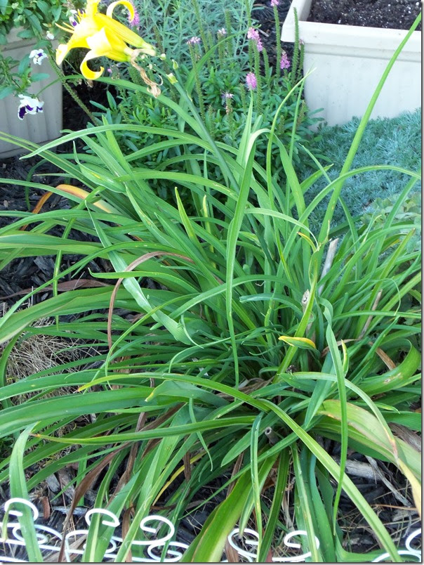 10-09-2016 GW23 (19)