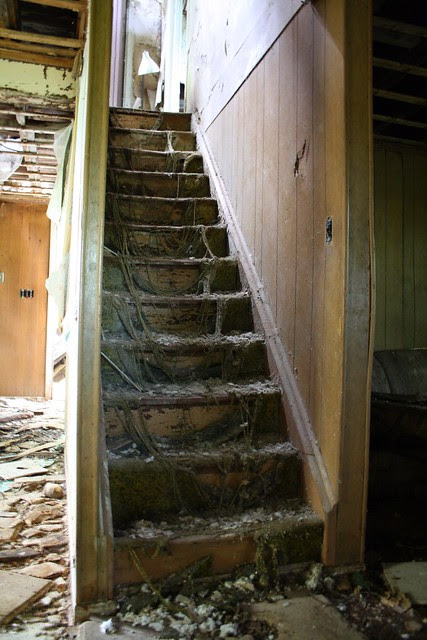 green carpeted stairs