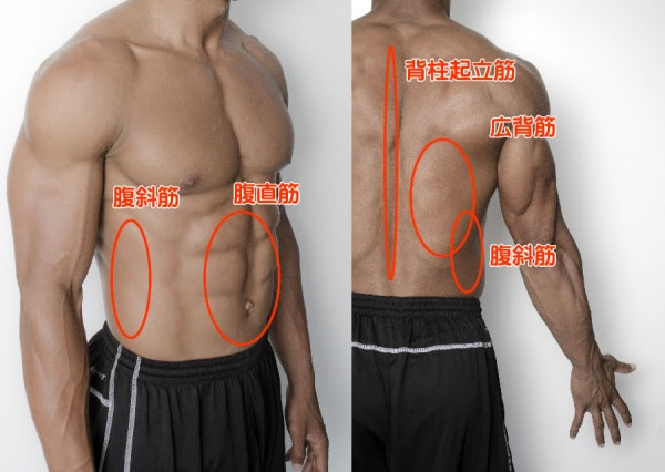 ゴルフの体幹って何