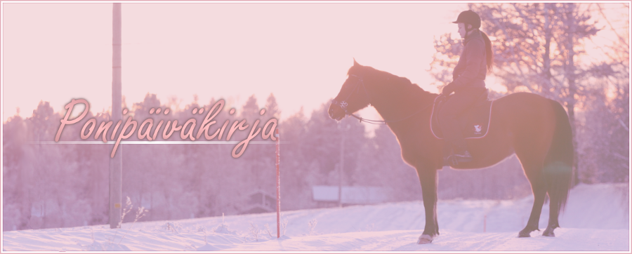 Ponipäiväkirja