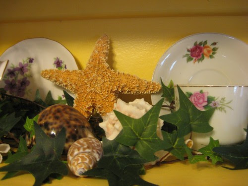 Seashells