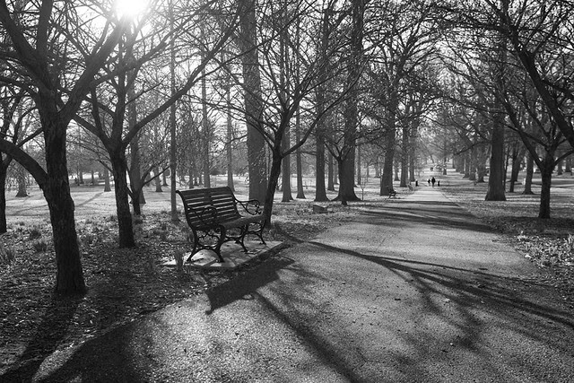 Tower Grove Park 2016-03-05 4