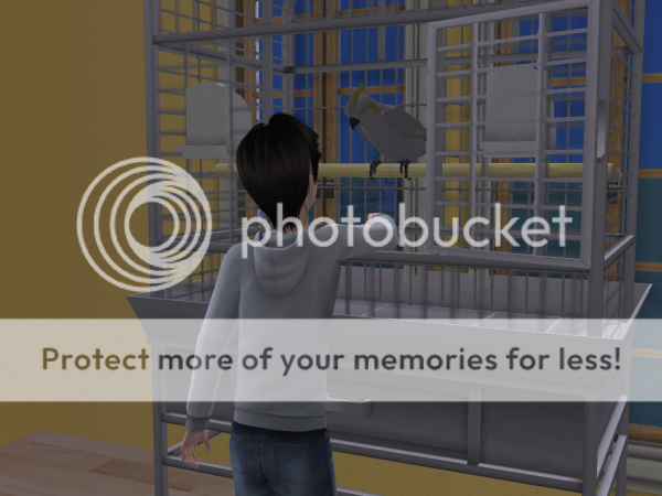  photo dora23_zpsd9899b33.png