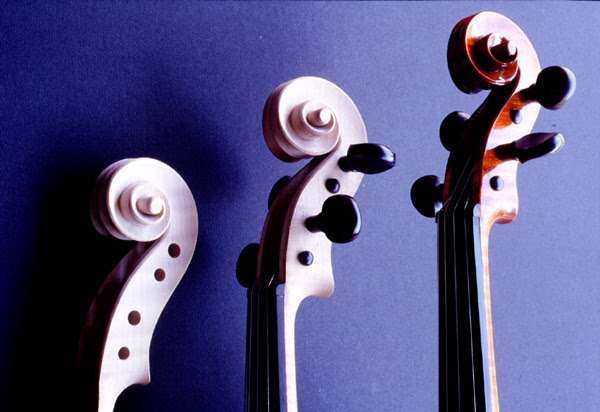 Black and White Violin