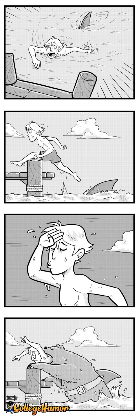Shark Attack!