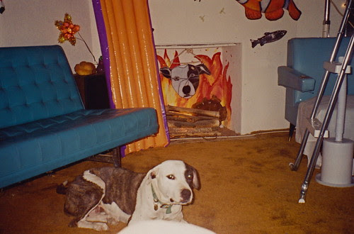 baby rooms pictures