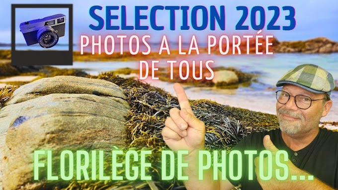Florilège photos 2023, en argentique, S23 Ultra, ou numérique
