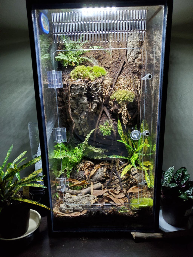 20 Gallon TALL/High Aquarium Gecko/Arboreal Conversion Kit