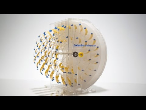 A toy car propelled by evaporating water - Microbiology to Mechanical Energy