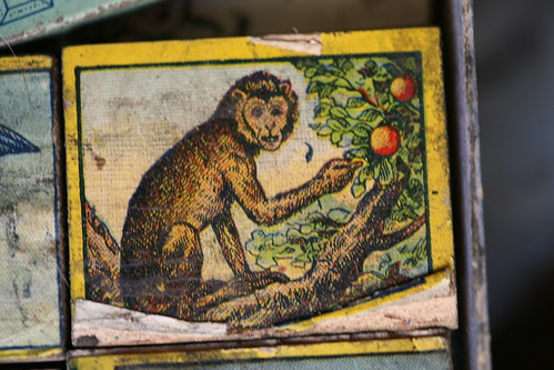 monkey