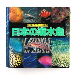 お世話になります