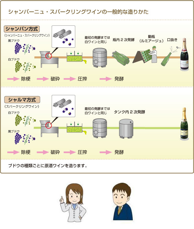 たに アジェンダ ワインの勉強 赤 ロゼ 白ワインの作り方